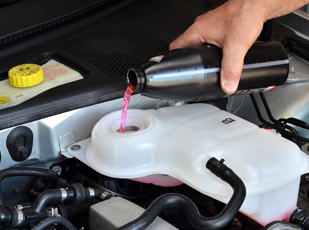 Technician performing undercar fluid service